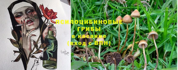 крисы Нефтегорск