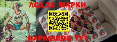мдпв Бийск