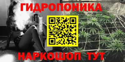 мдпв Бийск