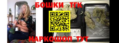 мдпв Бийск