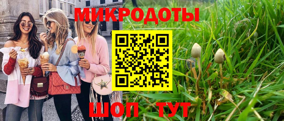 Курган  Псилоцибиновые грибы Psilocybe  Вход с VPN 